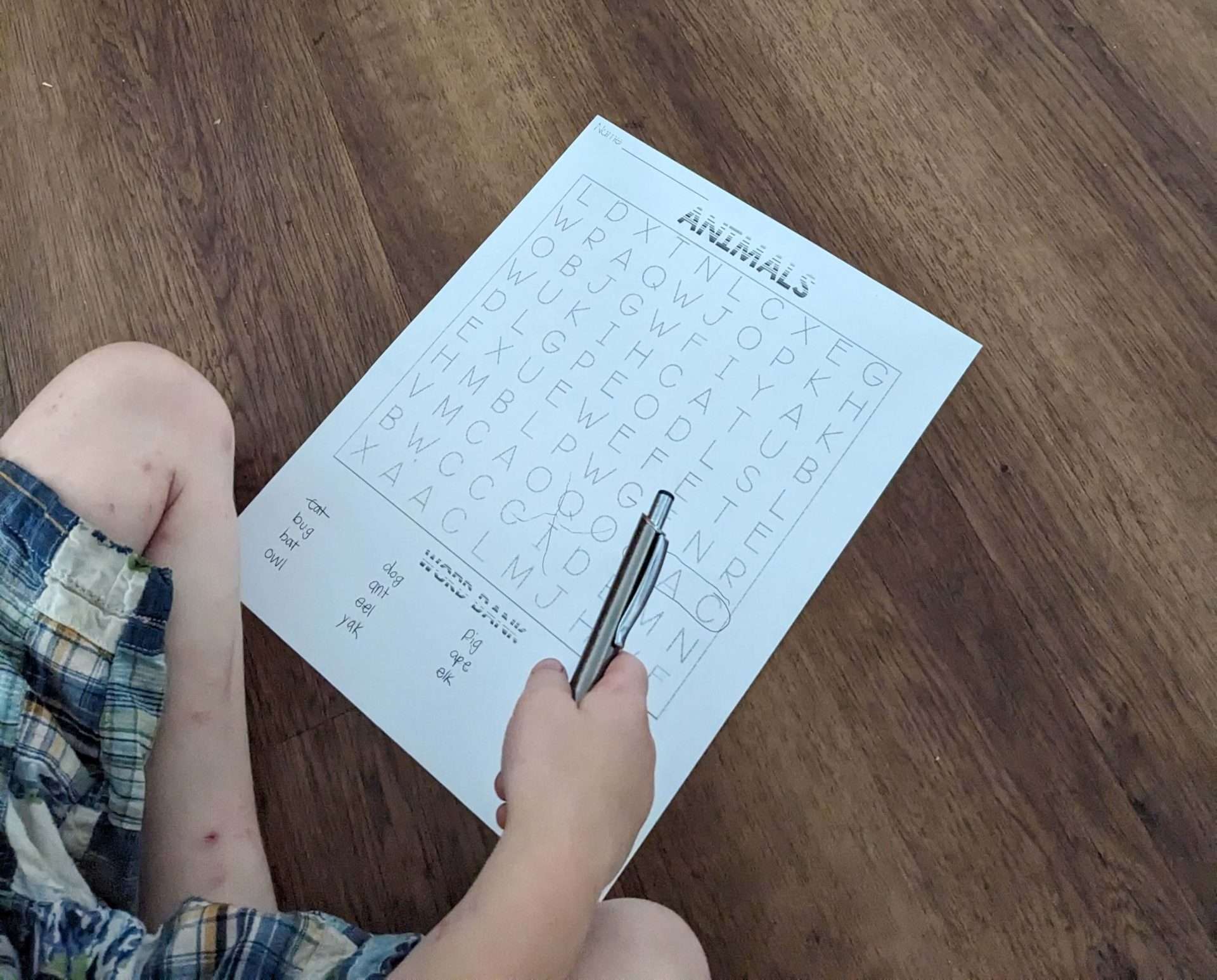 In Depth Lucky Little Learners All Access Review Homeschool Newbie In Depth Lucky Little Learners All Access Review Homeschool Newbie